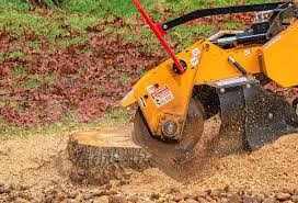 Best Tree Mulching Services  in Sugarland Run, VA