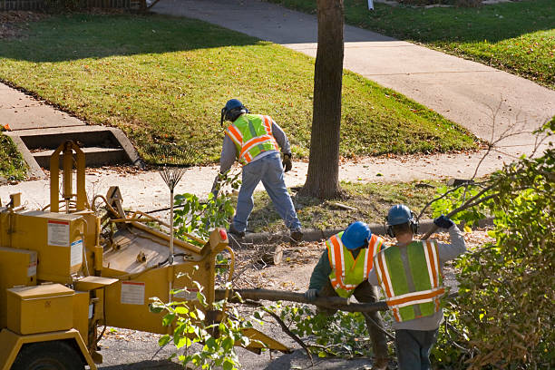 Best Leaf Removal Services  in Sugarland Run, VA